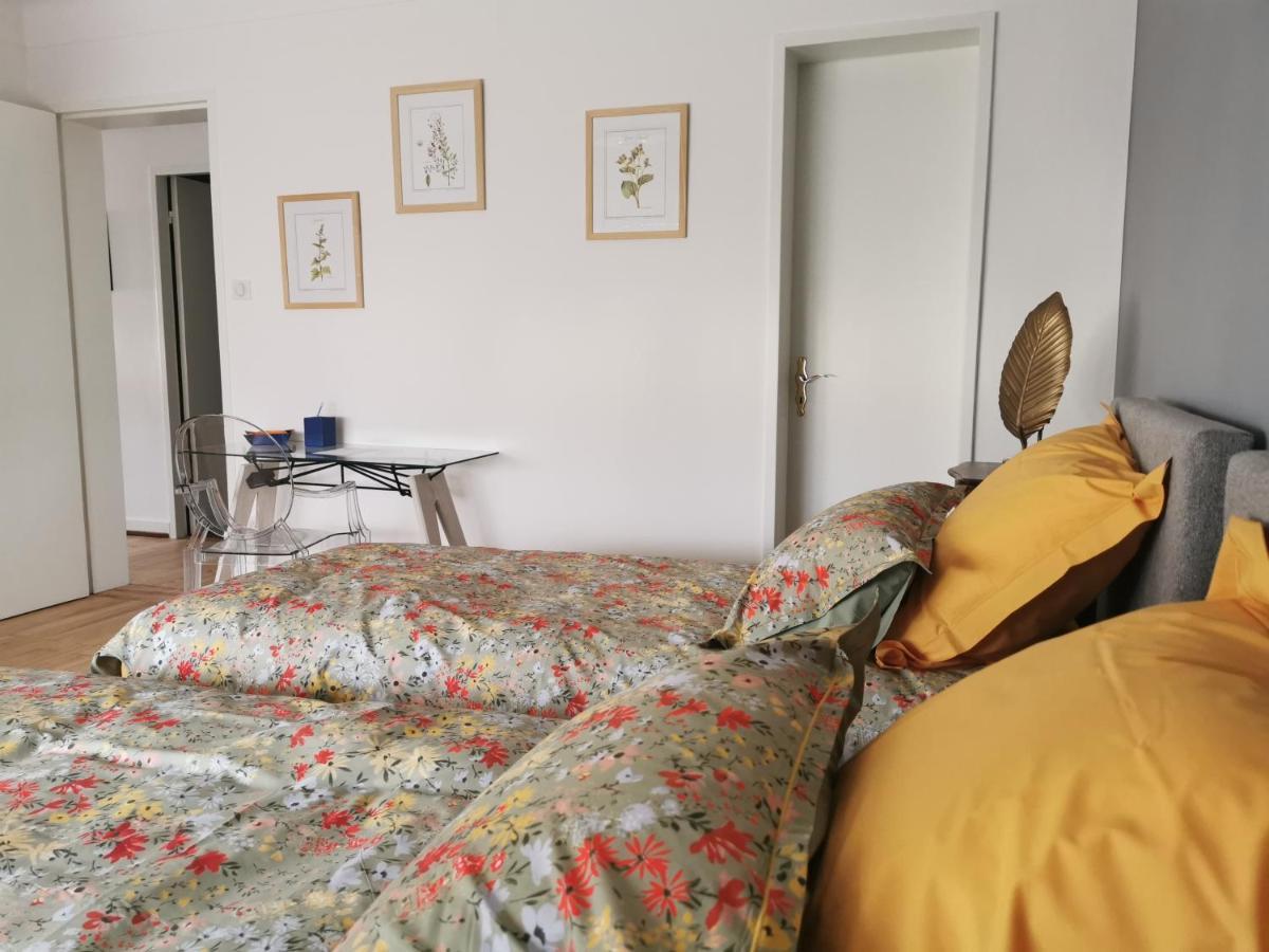 La Maison De Lucie - Grande Maison Ideale En Famille Ou Entre Amis - Jardin - Parking Gratuit Ferienhaus Sélestat